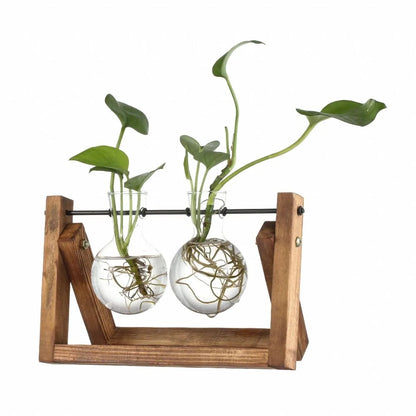 Housyfeel™ Hydroponic Plant Vase