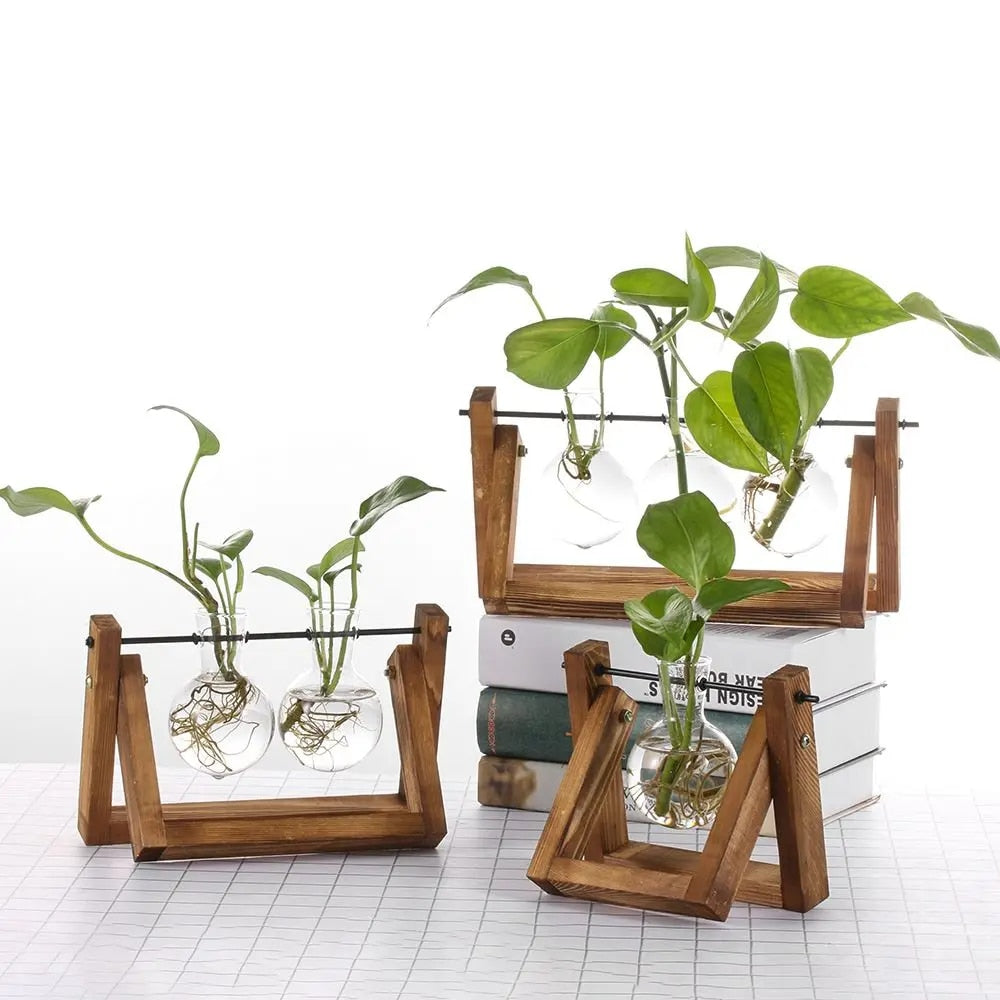 Housyfeel™ Hydroponic Plant Vase